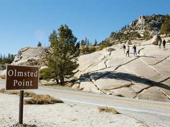 A brown and white sign reads, 'Olmsted Point.' Across the street from the sign, five people walk up a domed bedrock.