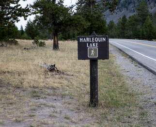 Small wooden sign next to the road reads 