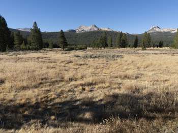 Trees surround the perimeter of a meadow. Two tall peaks rise above treeline in the distance.