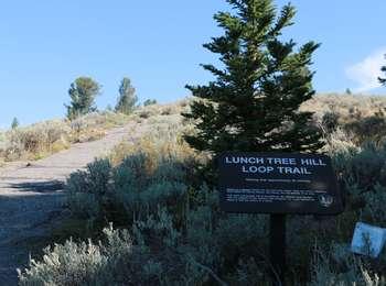 Sign at the base of Lunch Tree Hill trail behind the Jackson Lake Lodge.