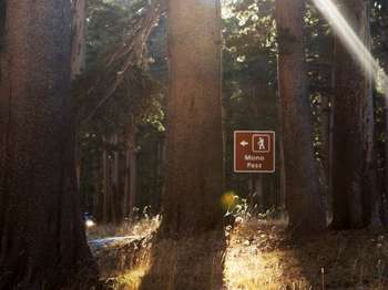 A sign that reads, 'Mono Pass,' and has an icon of a hiker and an arrow pointing left, can be seen through some trees.