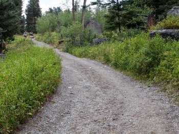 Two people walking down the gravelly trail lined by lush, green plant growth.