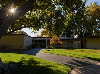 The sun shines between two large branches of a massive tree with a brown and tan, one story building in the background