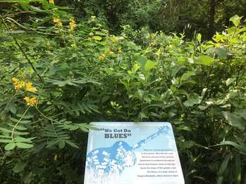 An interpretive marker titled 