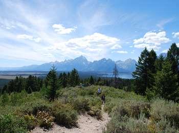 View from Jackson Point near the top of Signal Mountain, 800 feet above valley. Sagebrush mixed with trees and the high peaks of the Tetons.