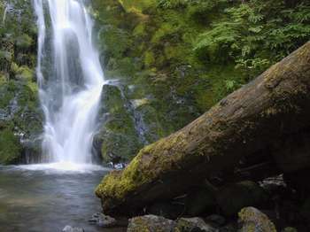 A waterfall cascades into a small pool.