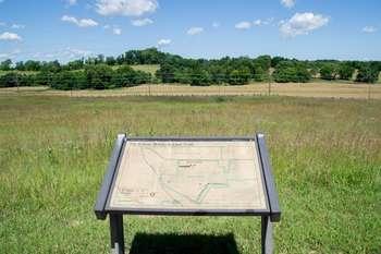Wayside in front of tall grass and trees.