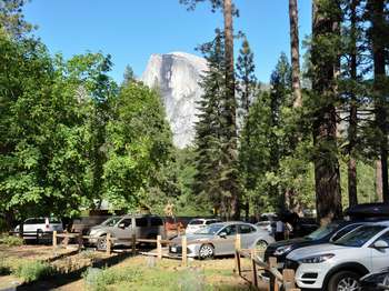 Cars are parked along a wooden railing. Half Dome can be seen through the trees in the background.