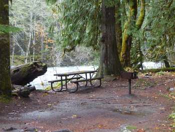 A picnic table in the forest beside a river