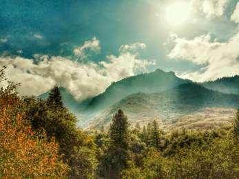 A misty mountain view with trees in the foreground