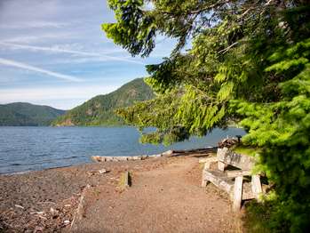 A bench in the forest faces a lake.