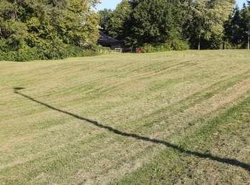 Trees surround a large grass meadow, which contains a shallow, long, u-shaped depression made by Oregon Trail traffic