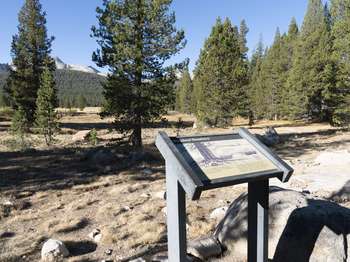 A wayside exhibit stands along a dirt trail that leads around the outskirts of a meadow.