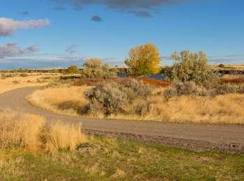 Gravel road passing through an open landscape of dried grass, sagebrush, and a few trees on its way to the Snake River
