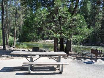 Picnic tables are located in the shade on the banks of a river.
