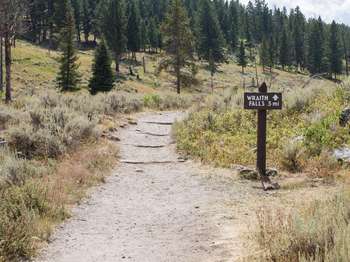 Brown wooden sign points down the bare ground trail and says 