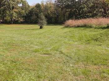 A long, shallow, u-shaped depression in a grass meadow that is surrounded by trees