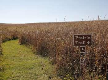A brown sign points to the mowed grass trail through tall brown prairie grasses.