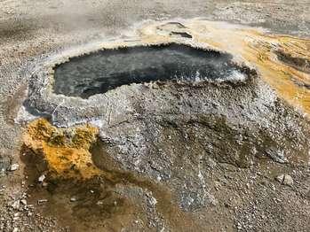 Orange thermophiles growing in the runoff of the ear-shaped spring that is bubbling with superheated water.