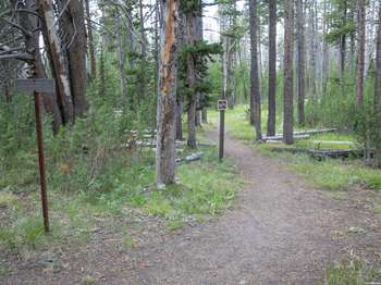 A bare ground trail leads off into a sparse conifer forest.