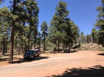 An open dirt parking lot with vehicles beneath pine trees.