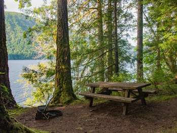 A picnic table among the trees, overlooking a lake.