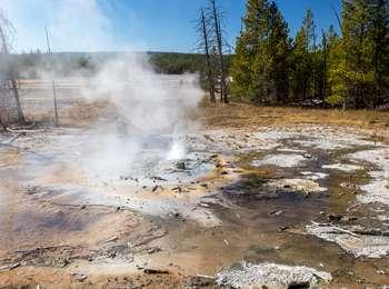 Steam rises from an open wet, pooled area surrounded by trees