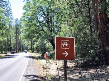A brown and white roadside sign shows an icon of a picnic table with an arrow pointing right.