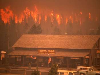An intense crown fire with leaping orange flames approaches a gift shop in the foreground.