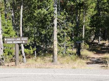 Flagg Ranch Trailhead access from Grassy Lake Road. Dirt trail leading into conifers with small sign.