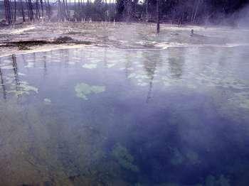 Thick mats of thermophile growth along the sides of the large pool of hot water.