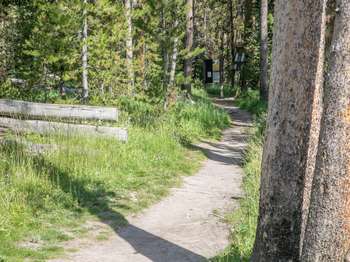 The start of a trail leading into the woods, with new and old signs providing information.