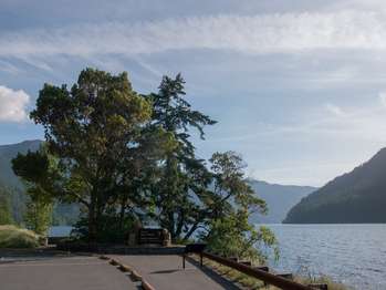 A peaceful parking area with trees and a panoramic view of a lake.