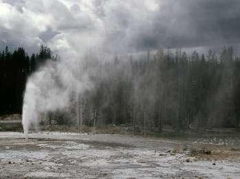 Steam emerges from a geyser in a flat area