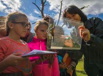 A park ranger shows a caterpillar to a fascinated group of young girls.
