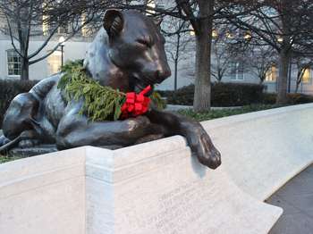A bronze statue of a female lion with a wreath placed on it.