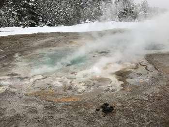 Steam rises from the blue pool, which is surrounding by cream- and orange-colored thermophiles and white snow.