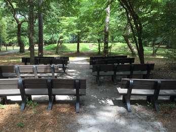 Amphitheater and earthwork