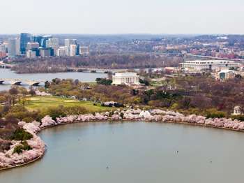 People paddle in the Tidal Basin. Cherry Blossom trees in bloom surround the Tidal Basin. The Lincoln Memorial, MLK Jr. Memorial, DC War Memorial, and the Arlington Memorial Bridge are also visible. 