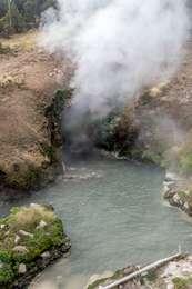 Steam rises from a vent next to a cloudy pool of water with green vegetation on the pool edges