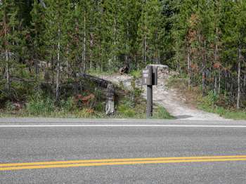 A wooden sign marks the start of a bare ground trail that heads into the forest across a road.