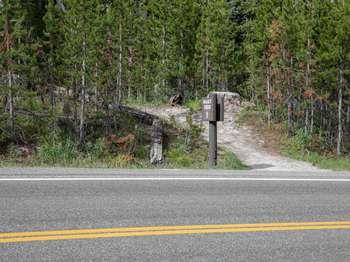 A wooden sign marks the start of a bare ground trail that heads into the forest across a road.