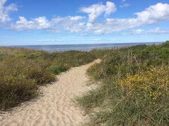 Sandy path leads through the low-lying vegetation to the Pamlico Sound.