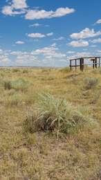 Faint depression in grass and sagebrush field with two parallel ruts on either side