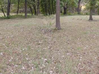 Grass field with a short in height, dirt and grass hump marking the path of the Oregon Trail