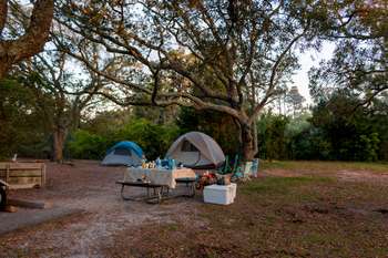 Two tents sit under trees in the background with camping gear on a picnic table in the foreground.