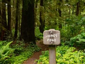 A sign next to forest trail reads "James Pond."