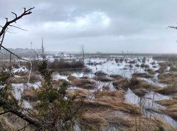 The Cape Hatteras Lighthouse, off in the distance, shines through the rainy conditions, as seen from the Loran Road.