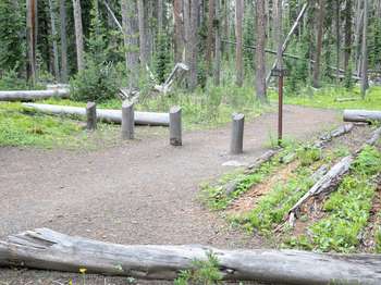 Wooden logs stand on end at the start of a bare ground path that leads into the woods.