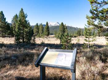 A wayside exhibit stands along the dirt trail that leads on the outskirts of a meadow.